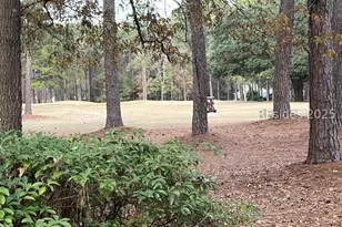 33 Fairway Dr, Bluffton, SC 29910 - Photo 7