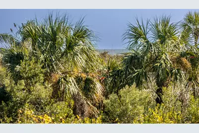 40 Folly Field Road #C131, Hilton Head Island, SC 29928 - Photo 27