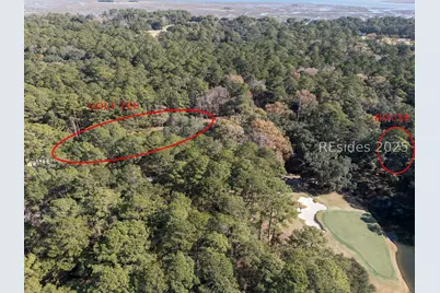 275 Spring Island Drive, Okatie, SC 29909 - Photo 7