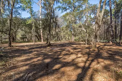 275 Spring Island Drive, Okatie, SC 29909 - Photo 1