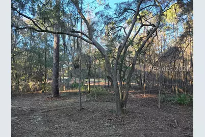 275 Spring Island Drive, Okatie, SC 29909 - Photo 3