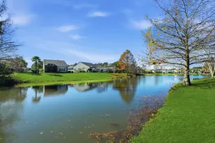 26 Lacebark Ln, Bluffton, SC 29909 - Photo 47