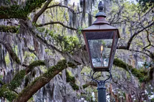 58 Marsh Rabbit St, Bluffton, SC 29910 - Photo 89