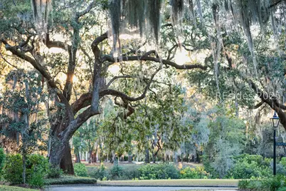 58 Marsh Rabbit Street, Bluffton, SC 29910 - Photo 87