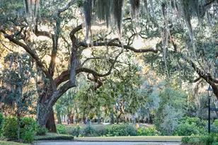 58 Marsh Rabbit St, Bluffton, SC 29910 - Photo 87