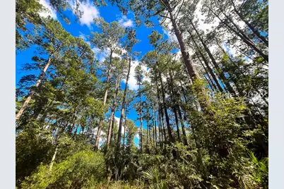 1 Rodeo Drive, Daufuskie Island, SC 29915 - Photo 9