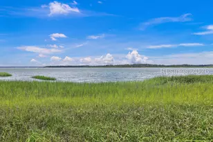 65 River Tree Cir, Bluffton, SC 29910 - Photo 49