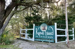 347 Broadview Dr, Ridgeland, SC 29936 - Photo 99