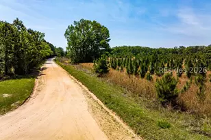 164 Paige Point Bluff, Seabrook, SC 29940 - Photo 59