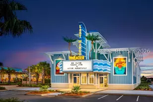 165 Summertime Pl, Hardeeville, SC 29927 - Photo 41