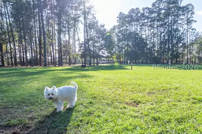 238 Colonel Thomas Heyward Road, Bluffton, SC 29909 - Photo 61