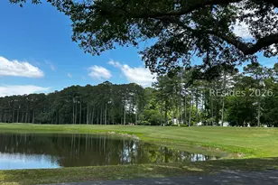 2 Crowell Ct, Bluffton, SC 29909 - Photo 43