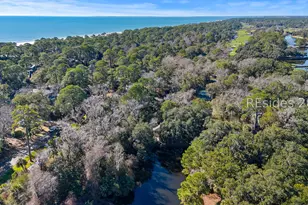 69 Night Heron Ln, Hilton Head Island, SC 29928 - Photo 31