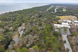25 Night Heron Ln, Hilton Head Island, SC 29928 - Photo 27