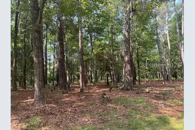 18 Captain Monroe Lane, Daufuskie Island, SC 29915 - Photo 1