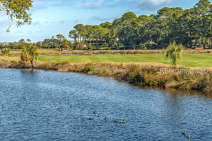 59 Carnoustie Rd, Hilton Head Island, SC 29928 - Photo 49