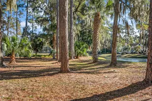 50 Hawthorne Rd, Bluffton, SC 29910 - Photo 41