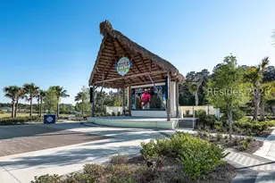 776 St Somewhere Dr, Hardeeville, SC 29927 - Photo 51