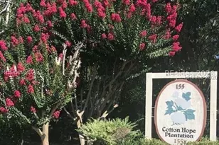 155 Dillon Rd, Hilton Head Island, SC 29926 - Photo 31