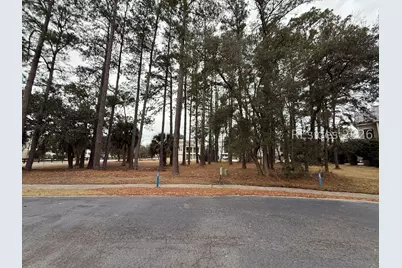 22 Welsh Pony Lane, Hilton Head Island, SC 29926 - Photo 3