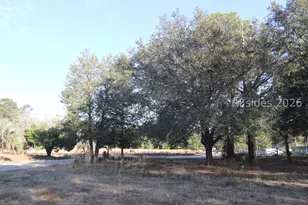 162 Wright Rd, Coosawhatchie, SC 29936 - Photo 21