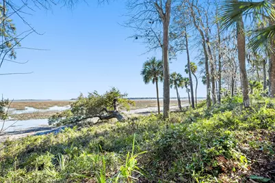 248 Spring Island Drive, Okatie, SC 29909 - Photo 85