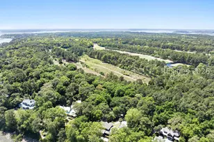 248 Spring Island Dr, Okatie, SC 29909 - Photo 85
