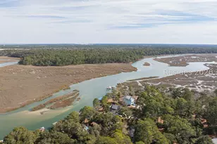 45 Cameroon Dr, Beaufort, SC 29907 - Photo 63