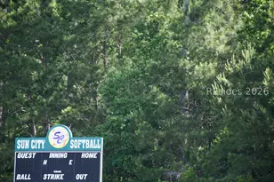 12 Apple Ln, Bluffton, SC 29909 - Photo 37