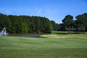 12 Apple Ln, Bluffton, SC 29909 - Photo 41