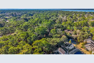 79 Lighthouse Road #2399, Hilton Head Island, SC 29928 - Photo 41