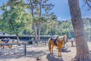 19 Newhall Rd, Hilton Head Island, SC 29928 - Photo 47