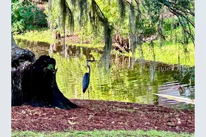 8 Waterside Drive, Beaufort, SC 29907 - Photo 71