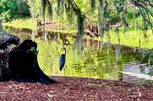 8 Waterside Dr, Beaufort, SC 29907 - Photo 71