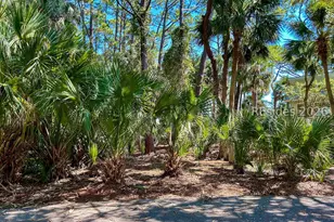 848 Marsh Dunes Rd, Saint Helena Island, SC 29920 - Photo 1
