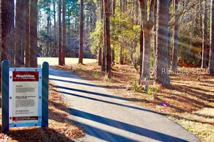 21 Raven Glass Ln, Bluffton, SC 29909 - Photo 47