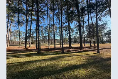 31 Chiffelle Street, Bluffton, SC 29909 - Photo 13