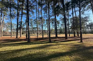 31 Chiffelle St, Bluffton, SC 29909 - Photo 13