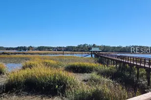 9 Rain Tree Ln, Bluffton, SC 29909 - Photo 49