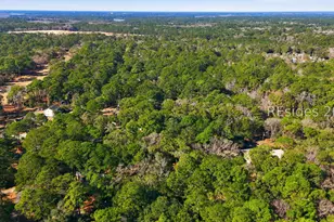 8 Meridith Ln, Beaufort, SC 29907 - Photo 35