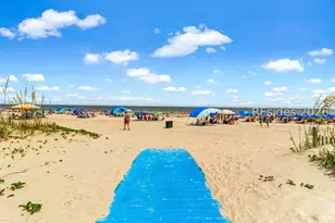 8 Brassie Ct, Hilton Head Island, SC 29928 - Photo 49