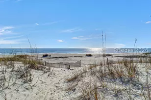 7 Guscio Way, Hilton Head Island, SC 29928 - Photo 61