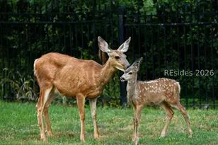 19 Belle Isle Farms, Beaufort, SC 29907 - Photo 73