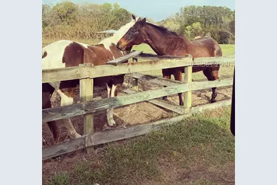 19 Belle Isle Farms, Beaufort, SC 29907 - Photo 75