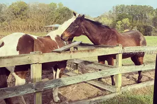 19 Belle Isle Farms, Beaufort, SC 29907 - Photo 75
