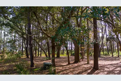 81 Fuskie Lane, Daufuskie Island, SC 29915 - Photo 5