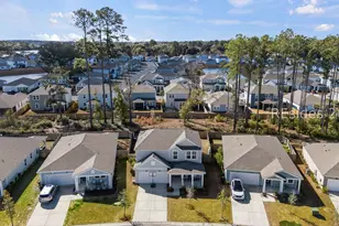 1229 Salty Hammock Ct, Beaufort, SC 29902 - Photo 53