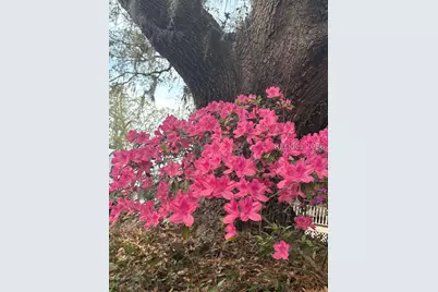 50 Scipio Road, Beaufort, SC 29906 - Photo 81