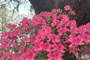 50 Scipio Rd, Beaufort, SC 29906 - Photo 81