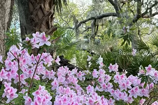 50 Scipio Rd, Beaufort, SC 29906 - Photo 87